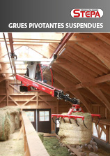 Grue pivotante suspendue