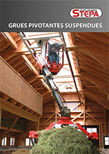 Grue pivotante suspendue